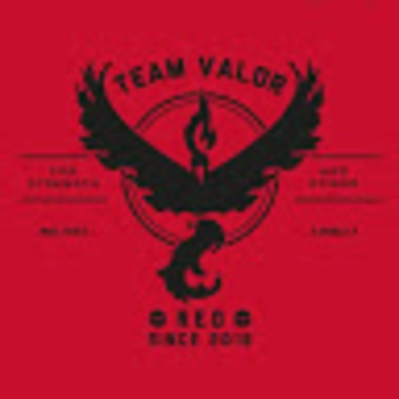 Meet your Posher, Ryder - Picture 1 of 1